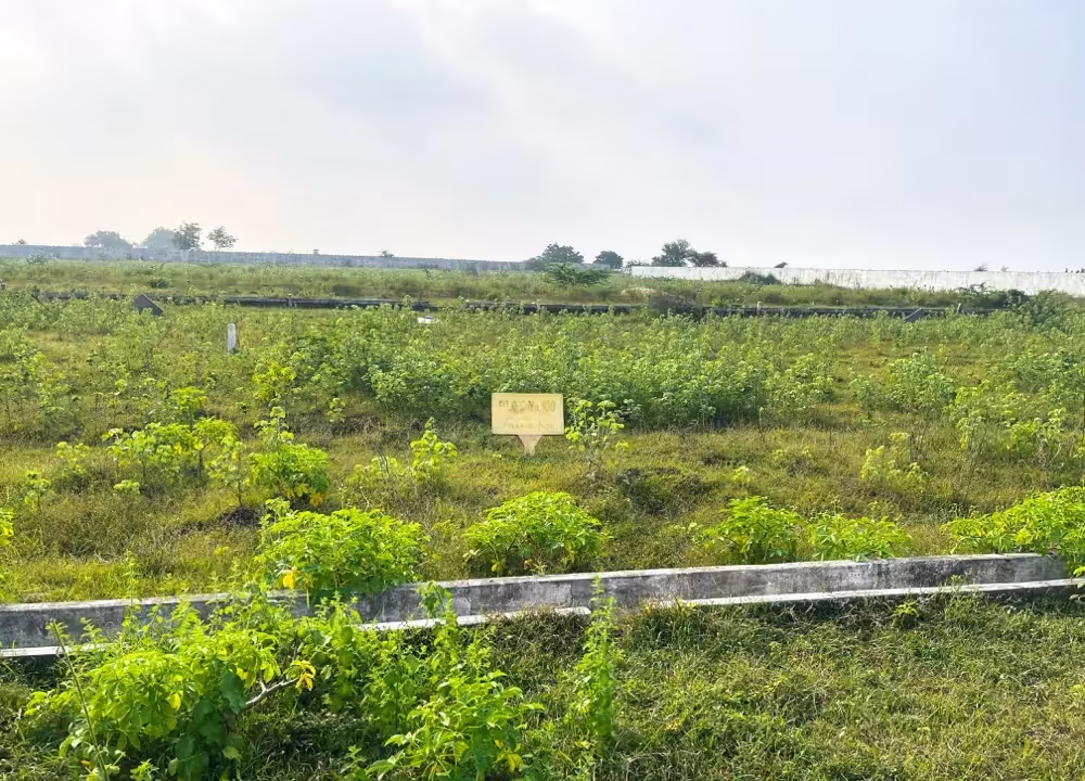 150 Sq. Yd. Open Plots for Sale at Kanchikacherla – Lifestyle Housing Smart City