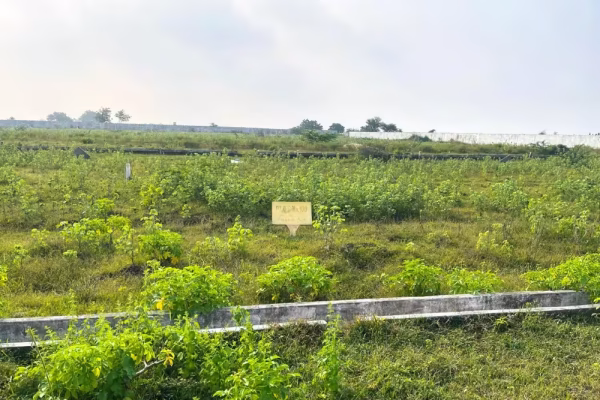 150 Sq.Yards Open Plot Sale @ ₹7500 Near Kanchikacherla