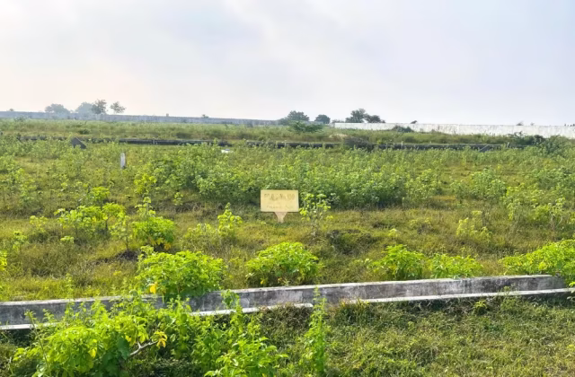 150 Sq. Yd. Open Plots for Sale at Kanchikacherla – Lifestyle Housing Smart City
